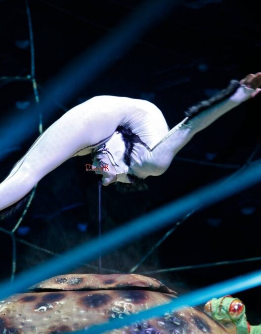 Gallery Item 4 Image