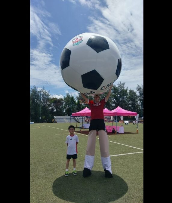 Gallery 17 Item 4 Image