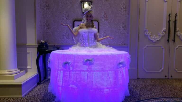 Model in LED table