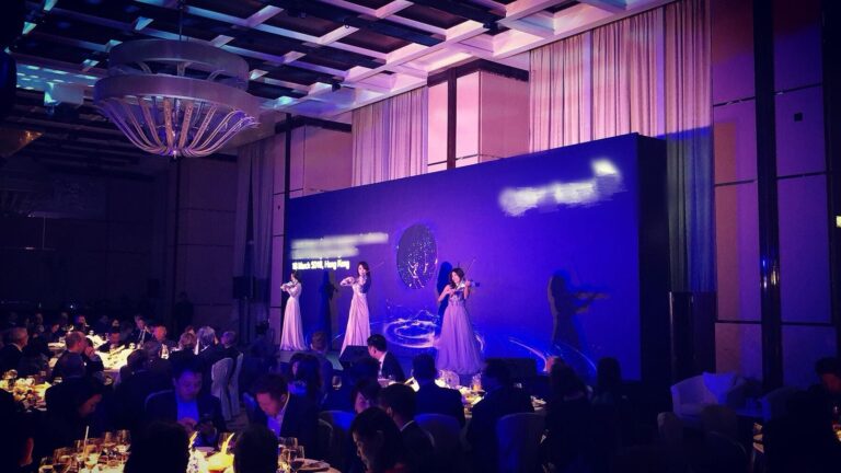 Event LED violin performance