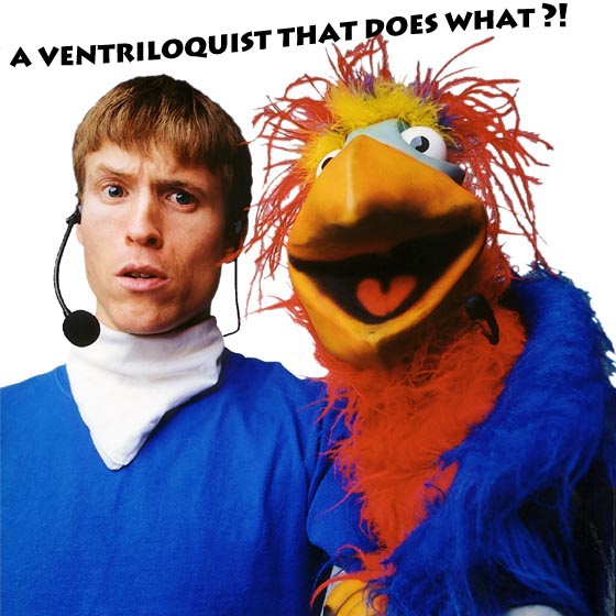 Tim and the Bird