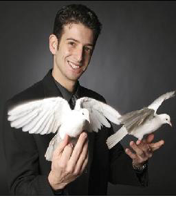 Dove Production