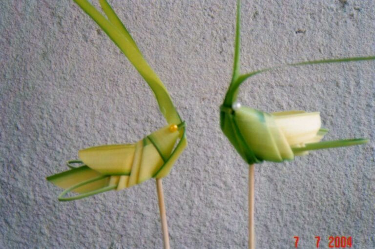 2 grasshoppers made from leafy grass