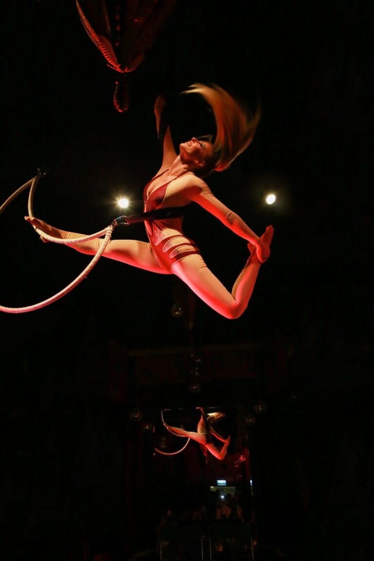 Aerial Solo Hoop performer during beautiful movement with the hoop in the midair at a corporate annual dinner.