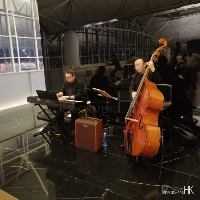 david keyboard player and double bass player